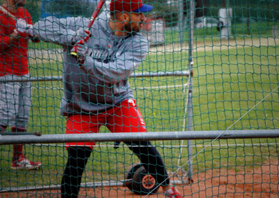 Arezzo Major League Baseball